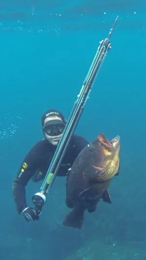 Pescatore ROISUB 3