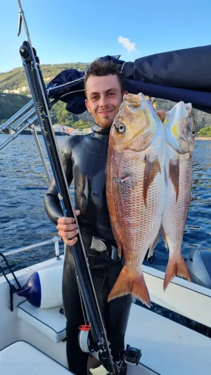 Pescatore ROISUB 4