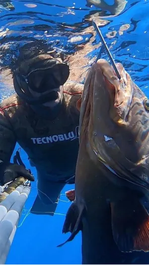 Pescatore ROISUB 6