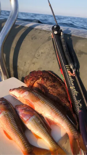 Pescatore ROISUB 13